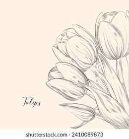 Flor de primavera ramo de tulipanes sobre fondo blanco. Estilo de dibujo grabado Para el afiche del Día de la Mujer de diseño, tarjeta de saludo de 8 de marzo.