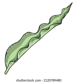 Spring flower bulb leaves and young shoots. Spring plant twigs such as daffodils, tulips and crocuses and Lily. Spring grass and mayweed. Vector.