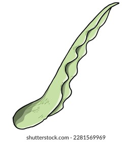 Spring flower bulb leaves and young shoots. Spring plant twigs such as daffodils, tulips and crocuses and Lily. Spring grass and mayweed. Vector.