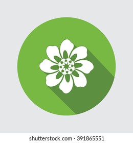 Spring flower. Camomile, dog-daisy icons. Floral symbol. Round circle flat icon with long shadow. Vector