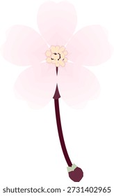 spring flower cherry blossom illust