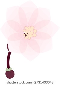 Flor de primavera Ilustre de cerezo en flor