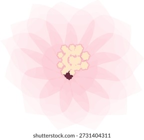 ilusão da flor de cerejeira
