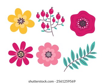 Spring flower collection on white background