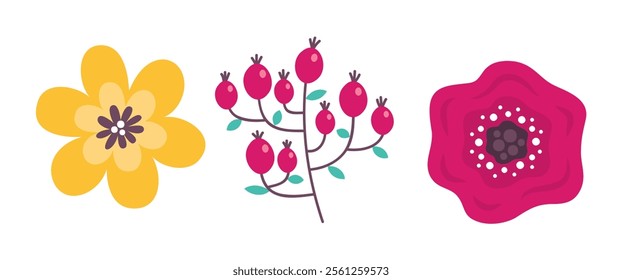 Spring flower collection on white background