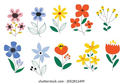 Spring flower collection Vector Illustration