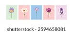Spring flower collection with violet, camomile, crocus, clover, and lavender blooms