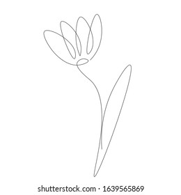 Spring flower. Continuous line drawing. Vector illustration