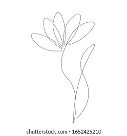 Spring Flower Continuous Line Drawing Vector Stock Vector (Royalty Free ...