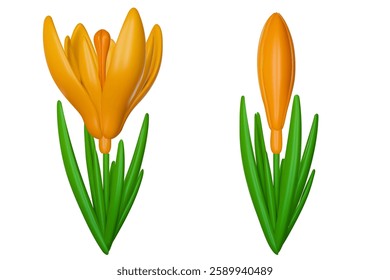 Spring flower crocus with open and closed buds in yellow color. Set design nature elements. Beautiful 3d realistic vector illustration.