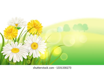 Spring flower daisy juicy, chamomiles yellow dandelions green grass background Template for banners, web, flyer. Vector illustration isolated.