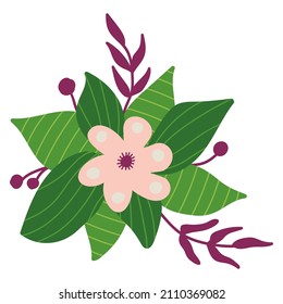 Spring Flower. Drawn style. White background, isolate. Vector illustration.
