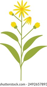 Spring Flower with Flat Cartoon Design. Vector Illustration on White Background.