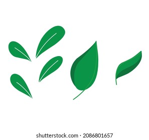 Diseño plano de flor de primavera colorido