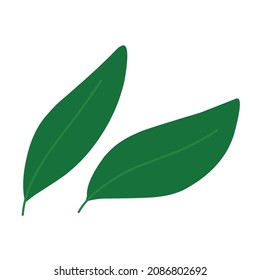 Frühlingsflorendesign-Dekoration