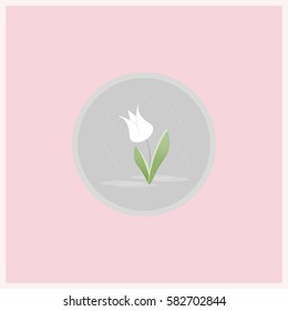 Spring flower flat icon. Tulip flower in gray circle on pink background.
