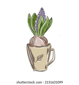 Frühlingsblume wächst in einem Maulbecher für Frühlingskarten und Innendekor