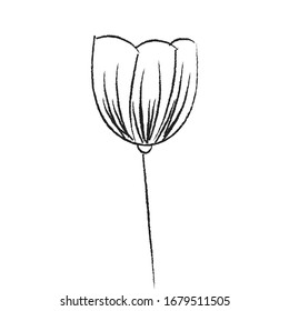 Flor de primavera. Elemento de doodle dibujado a mano. - vector