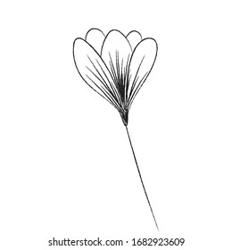 Spring flower. Hand drawn doodle element. - vector