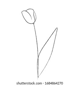 Spring flower. Hand drawn doodle element. - vector