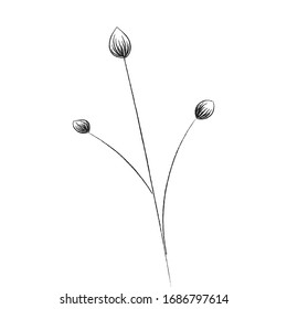 Spring flower. Hand drawn doodle element. - vector
