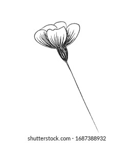 Spring flower. Hand drawn doodle element. - vector