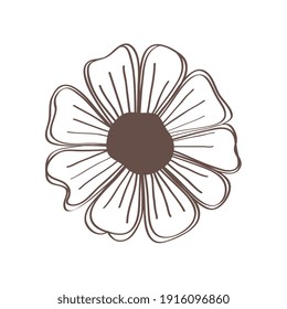 spring flower hand drawn icon vector illustration design