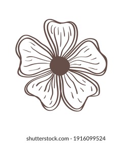 spring flower hand drawn style icon vector illustration design