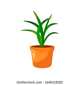 Spring flower houseplant inside pot. Flower potted plant for indoor and outdoor landscape design isolated on white. Vector illustration