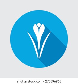 Spring flower icon. Crocus, Saffron, herbs. Floral, food symbol. Bud and leaves. Round circle flat icon with long shadow. Vector illustration