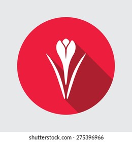 Spring flower icon. Crocus, Saffron, herbs. Floral, food symbol. Bud and leaves. Round circle flat icon with long shadow. Vector