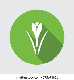 Spring flower icon. Crocus, Saffron, herbs. Floral, food symbol. Bud and leaves. Round circle flat icon with long shadow. Vector illustration