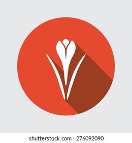 Spring flower icon. Crocus, Saffron, herbs. Floral, food symbol. Bud and leaves. Round circle flat icon with long shadow. Vector illustration