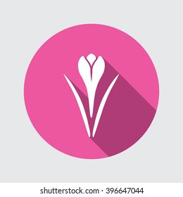 Spring flower icon. Crocus, Saffron, herbs. Floral, food symbol. Bud and leaves. Round circle flat icon with long shadow. Vector illustration