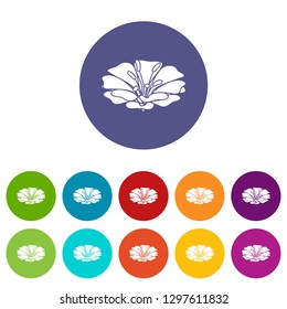 Spring flower icons color set vector for any web design on white background