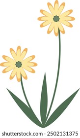 Spring Flower Illustration in Flat Cartoon Style. Isolated on White Background