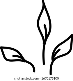Spring flower isolated on white background. drawn herbal leaf branches. Flower twig. Doodle outline vector illustration for wedding design, logo, greeting card.
