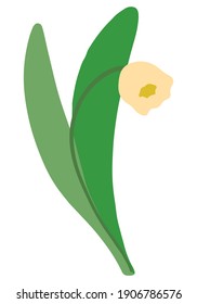 Spring flower isolated on white background. Hand drawn vector illustration. Colored cartoon doodle. Single drawing of cute snowdrop. Element for design, print, sticker, postcard, decoration, wrap etc.