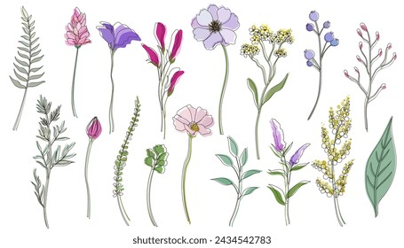 Spring flower and leaf illustration with black line. Simple and flat design botanical flowers vector illustration set.