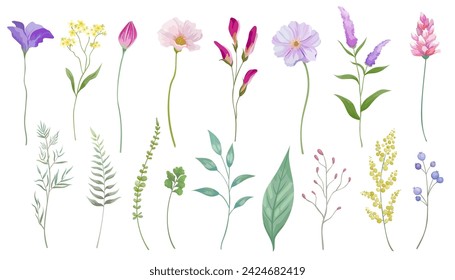 Spring flower and leaf vector illustration set. Elegant wild flowers.