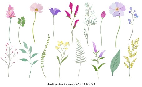 Conjunto de ilustración vectorial de flor y hoja de primavera. Flores silvestres de diseño simple y plano.