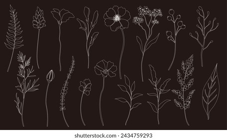 Spring flower and leaf white line art set. Elegant wild flowers vector illustration.