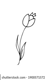 Spring flower like tulip, vector illustration. Simple cartoon line art. Hand drawn, minimalistic black flower on a white background. Isolated. Logo, emblem, sign, icon.
