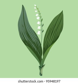 Spring flower - Lily of the Valley. EPS10