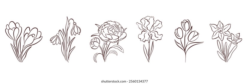 Spring flower line art set with crocus, snowdrop, peony, iris, tulip, and daffodil. Elegant botanical collection for design, print and decoration. Isolated on white background.