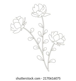 flor de primavera, vector de arte de línea