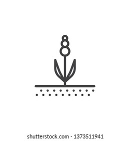 Spring flower line icon. linear style sign for mobile concept and web design. Growing plant outline vector icon. Agriculture symbol, logo illustration. Pixel perfect vector graphics