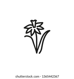 Spring flower line icon. Wildflower, flowerbed, plant. Easter concept. Vector illustration can be used for topics like season, holiday, nature