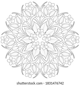 Mandala de fleurs de printemps avec gouttes de neige image vectorielle
