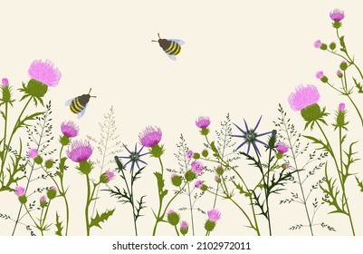 Spring. Flower meadow vector stock illustration. Botanical background. Green pastel landscape. Thistle. Wild flowers of the field.